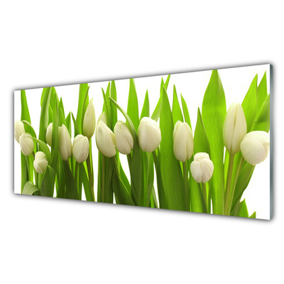 Plexiglas tavla Tulpaner Blommor Plant