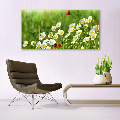 Akryltavla Daisy Plant Nature