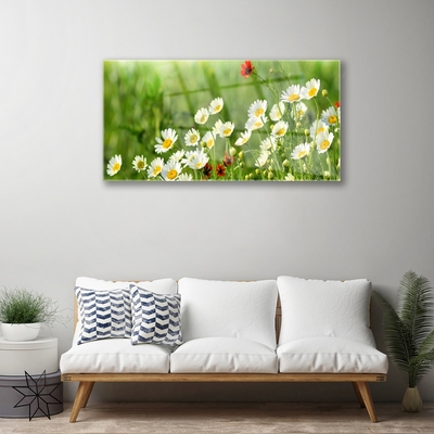 Akryltavla Daisy Plant Nature