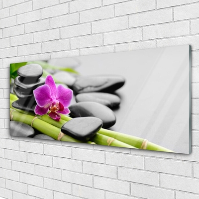 Plexiglas tavla bambu Blomstenar Art