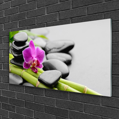 Plexiglas tavla bambu Blomstenar Art