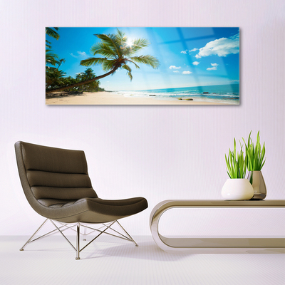 Akrylglas bild Palm Tree Beach Landskap