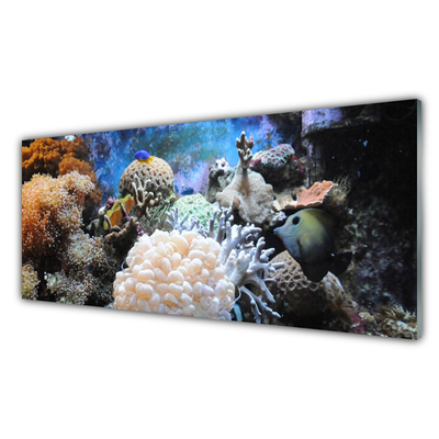 Tavla plexiglas Korallrevs natur