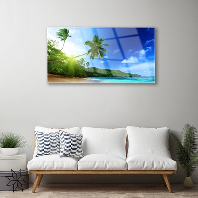 Akrylglas bild Strandhavet Palm Tree Landskap