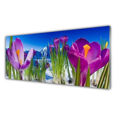 Akrylglastavla Blommor Växtnatur