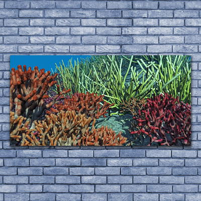 Akrylglastavla Korallrevs natur