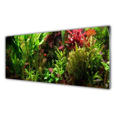 Akryltavla Växt Blommor Natur