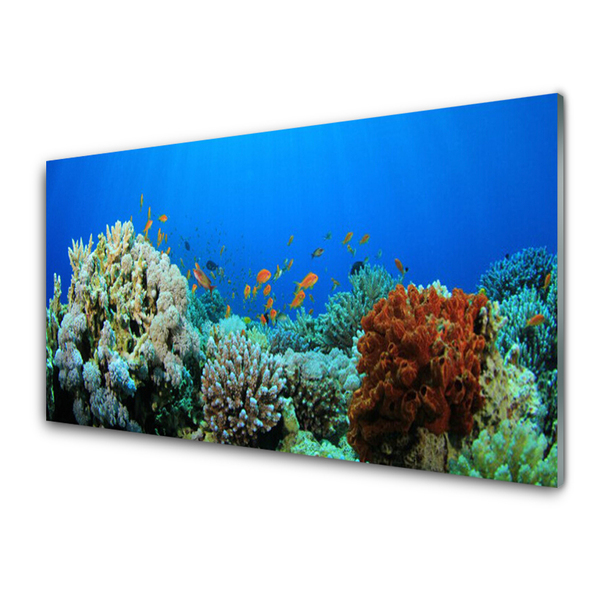 Akryltavla Korallrevs natur