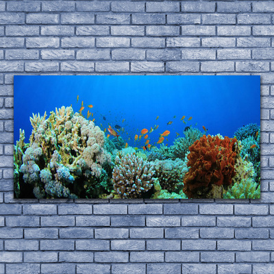 Akryltavla Korallrevs natur