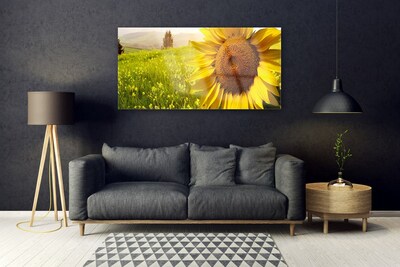 Bild på akrylglas Solros blomma växt