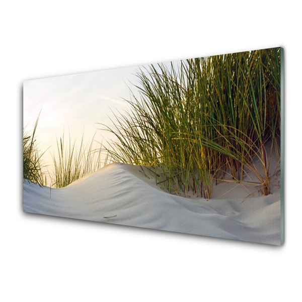 Akrylglas bild Sand Gräs Landskap