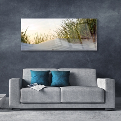 Akrylglas bild Sand Gräs Landskap