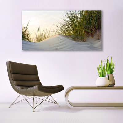 Akrylglas bild Sand Gräs Landskap
