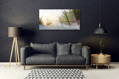 Akrylglas bild Sand Gräs Landskap