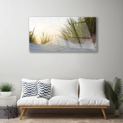 Akrylglas bild Sand Gräs Landskap