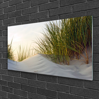 Akrylglas bild Sand Gräs Landskap