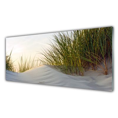 Akrylglas bild Sand Gräs Landskap