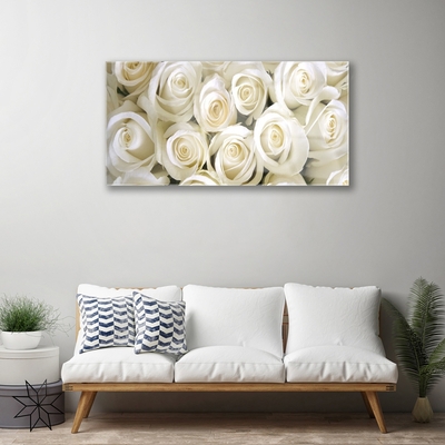 Akrylglas bild Roses Blommor Plant