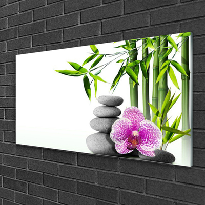 Akrylglas bild Bamboo Spa Zen Art