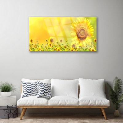 Plexiglas tavla Solros blomma växt