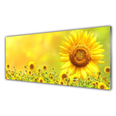 Plexiglas tavla Solros blomma växt