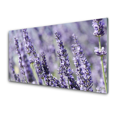 Tavla plexiglas Blommor Växtnatur