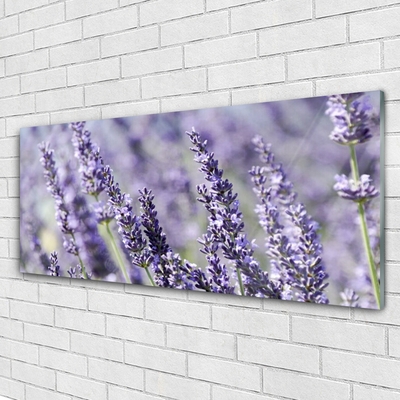 Tavla plexiglas Blommor Växtnatur
