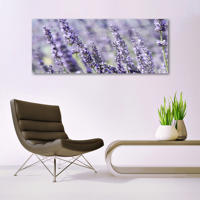 Tavla plexiglas Blommor Växtnatur
