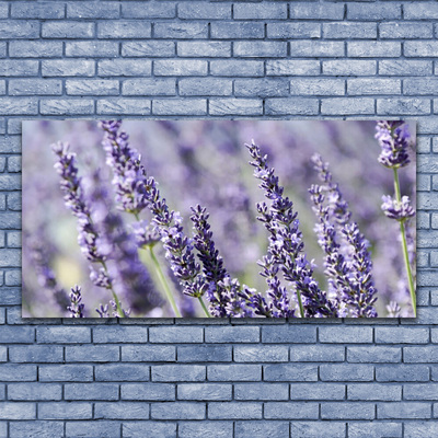 Tavla plexiglas Blommor Växtnatur