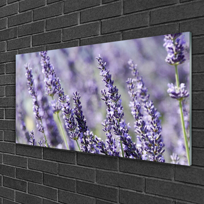 Tavla plexiglas Blommor Växtnatur