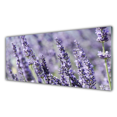 Tavla plexiglas Blommor Växtnatur