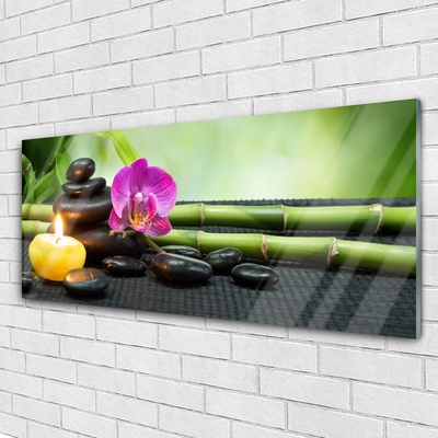 Plexiglas tavla Bamboo Flower Zen Spa