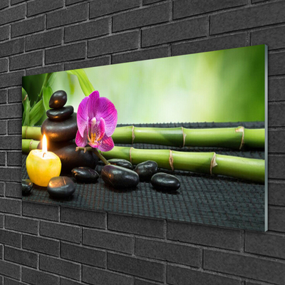 Plexiglas tavla Bamboo Flower Zen Spa