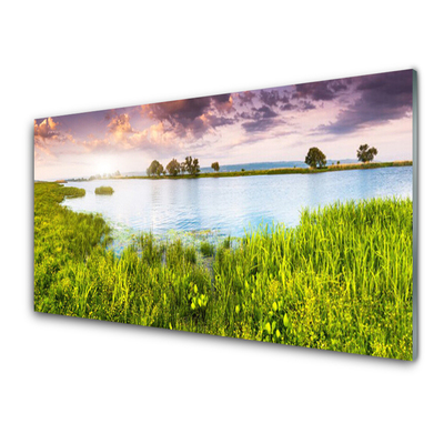 Tavla plexiglas Grass Lake Nature