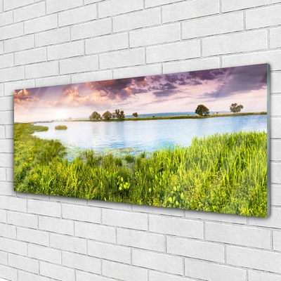 Tavla plexiglas Grass Lake Nature
