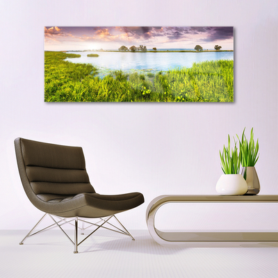 Tavla plexiglas Grass Lake Nature