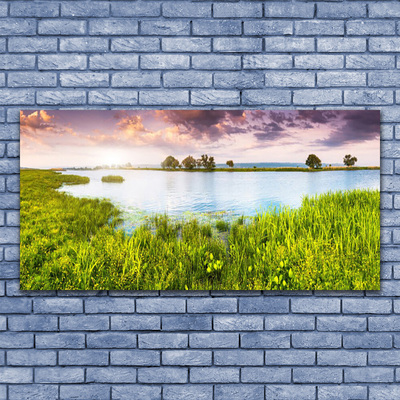 Tavla plexiglas Grass Lake Nature
