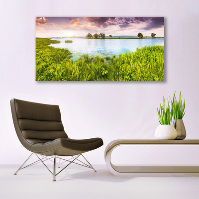 Tavla plexiglas Grass Lake Nature