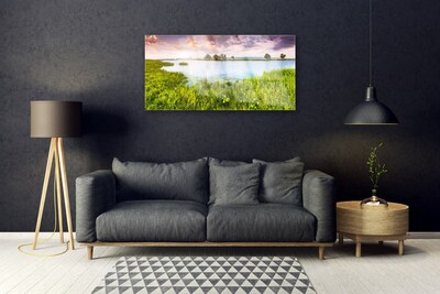 Tavla plexiglas Grass Lake Nature