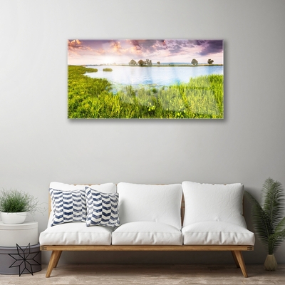 Tavla plexiglas Grass Lake Nature
