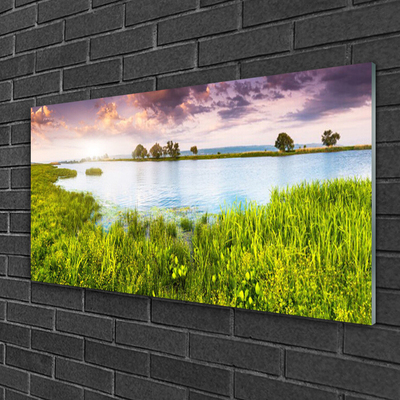 Tavla plexiglas Grass Lake Nature