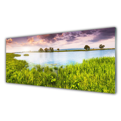 Tavla plexiglas Grass Lake Nature