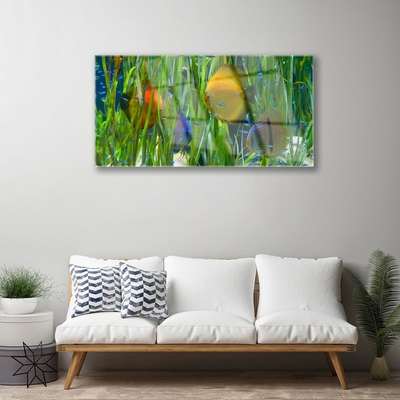 Plexiglas tavla Fisktång Natur