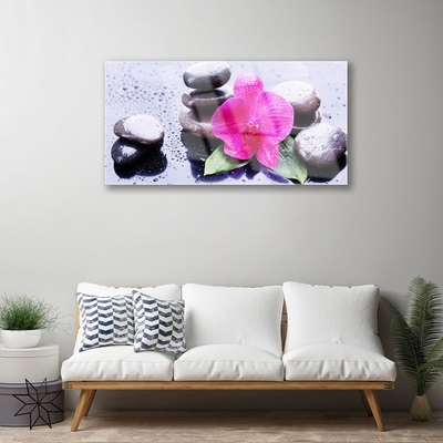 Plexiglas tavla Blomma Orchid Art