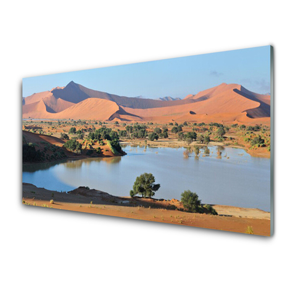 Akrylglastavla Lake Desert Landskap