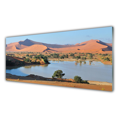 Akrylglastavla Lake Desert Landskap