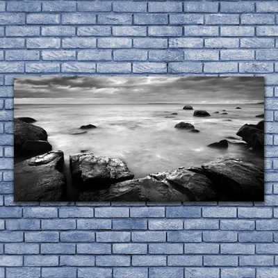 Plexiglas tavla Rock Havslandskap