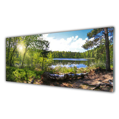 Plexiglas tavla Skogsträd Sjön Natur