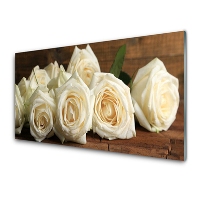 Plexiglas tavla Roses Blommor Plant