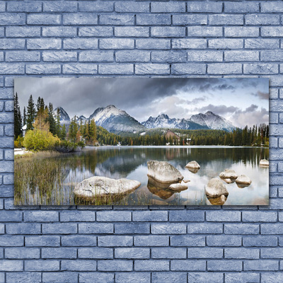 Akrylglastavla Lake Mountain Forest Landskap